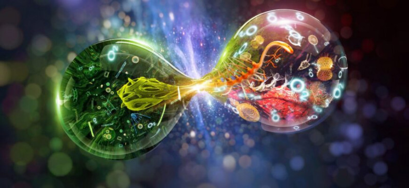 Biologiya fakültəsində Ümumdünya Bioloqlar Gününə həsr olunmuş seminar keçirilib