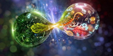 Biologiya fakültəsində Ümumdünya Bioloqlar Gününə həsr olunmuş seminar keçirilib