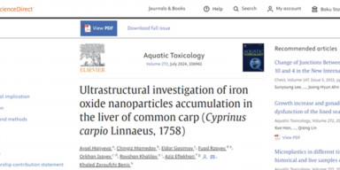 BDU-da metal nanohissəciklərin canlı orqanizmlərə təsirinin xüsusiyyətləri öyrənilir