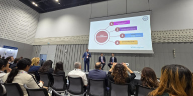 THE-nin “Qlobal Davamlı İnkişaf Konqresi”ndə BDU təcrübəsindən danışılıb