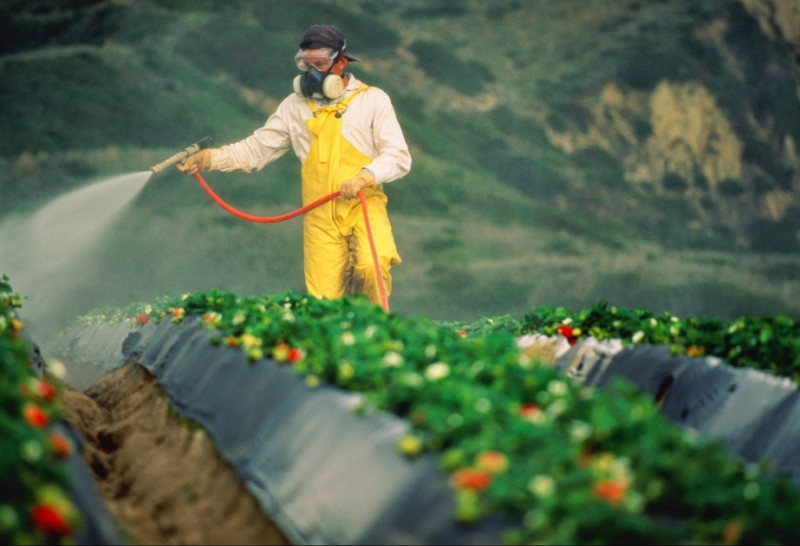 Biologiya fakültəsində “Pestisidlərin ətraf mühitə və canlı sisitemlərə təsiri” mövzusunda elmi seminar keçirilib
