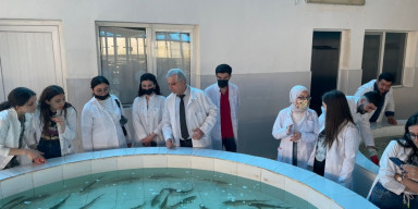 Biologiya fakültəsinin tələbələri Azvarvara şirkətində istehsalat təcrübəsi keçdi