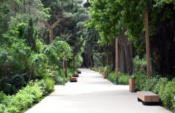 BDU tələbələrinin Mərkəzi Nəbatat Bağına "Bitkiləri tanıyaq" adlı ekskursiyası