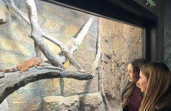 Bakı Zooloji Parkına ekskursiya təşkil olunub