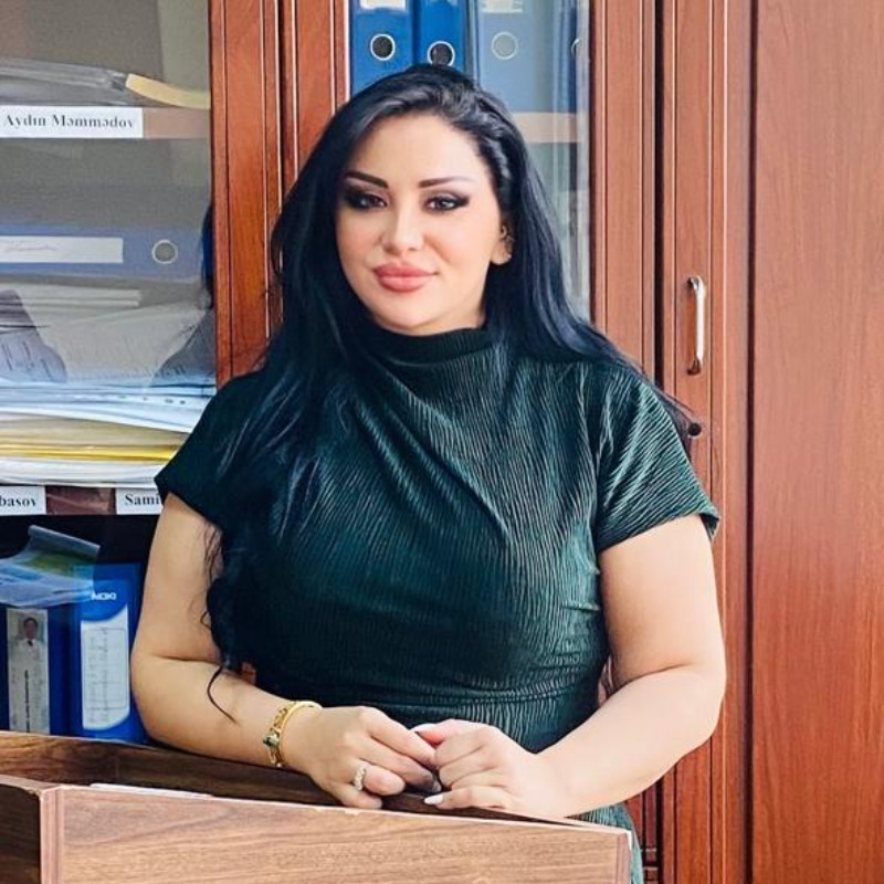 Mənbəşünaslıq, tarixşünaslıq və metodika kafedrasında Elmi seminar keçirilib