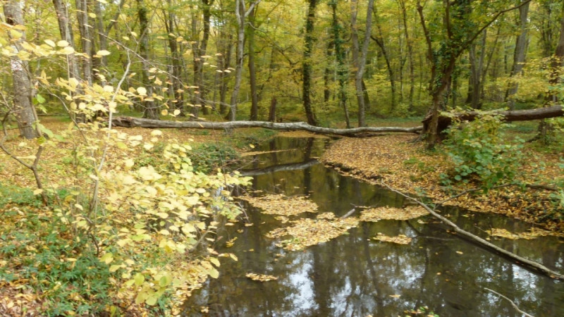 Biologiya fakültəsinin əməkdaşları Samur-Yalama Milli Parkında tədqiqat aparıblar