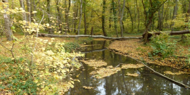 Biologiya fakültəsinin əməkdaşları Samur-Yalama Milli Parkında tədqiqat aparıblar