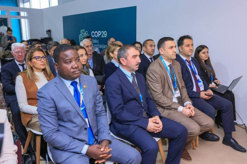 Biologiya fakültəsinin dekan müavini COP29 Yaşıl Zonada “Tuqay meşələrinin karbontutma potensialının qiymətləndirilməsi” mövzusunda tədqimat edib