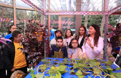 BDU-da Beynəlxalq Əlillər Gününə həsr olunmuş maarifləndirici tədbir