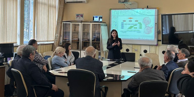 Elmi seminarda bimetal nanohissəciklər barədə danışılıb