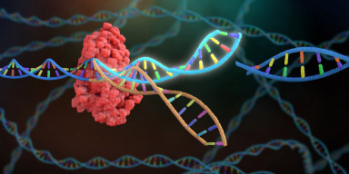 A scientific seminar on the topic “New Generation Drug Therapies” was held