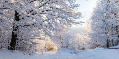 BDU-nun Astrofizika kafedrası: “Qış fəsli Azərbaycana dekabrın 21-i saat 19:03:01-də daxil olacaq”