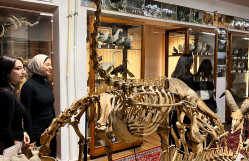Biologiya fakültəsinin tələbələri Təbiət Tarixi muzeyinə ekskursiya edib