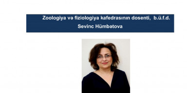Sevinc Hümbətova elmi seminarda çıxış edəcək