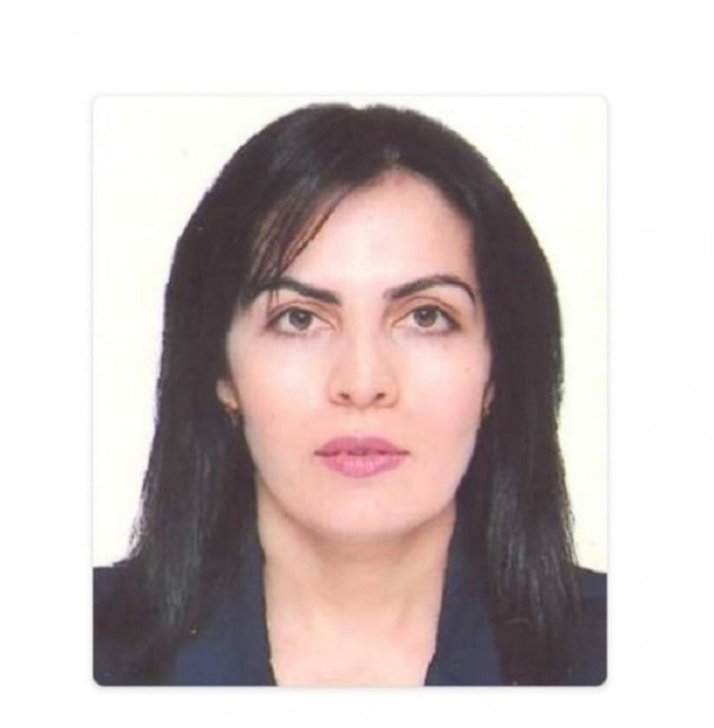 Klişe ifadələr (“kalıp sözler”) – nəzakət kateqoriyasının etnomental ifadə fərqliliyinin təzahürü kimi