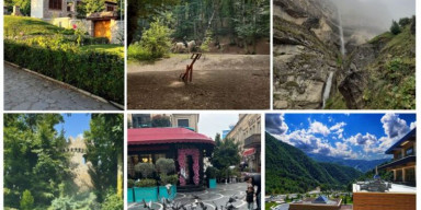 BDU-da “Yaşıl dünya naminə həmrəylik ili”nə həsr olunmuş fotomüsabiqə