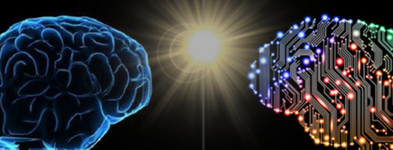 BDU-da biologiyada süni intellektin tətbiqinə dair elmi seminar keçirilib