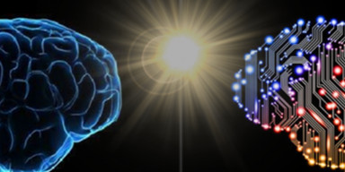 BDU-da biologiyada süni intellektin tətbiqinə dair elmi seminar keçirilib