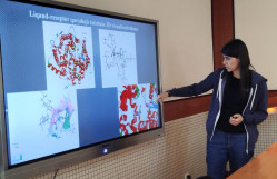 “Fizika problemləri” ETİ və Fizika fakültəsinin birgə elmi seminarı keçirilmişdir