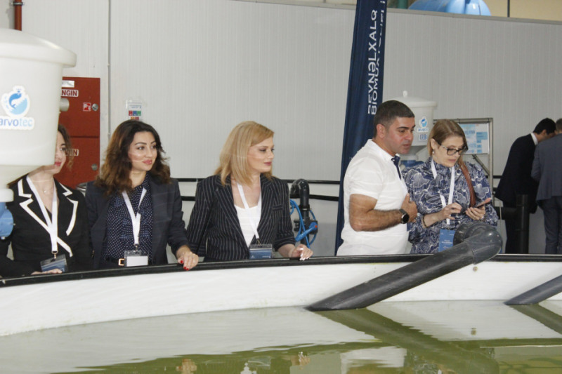 BDU əməkdaşları Neftçalada Beynəlxalq Biomüxtəliflik Gününə həsr edilmiş tədbirdə