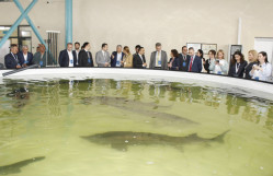 BDU əməkdaşları Neftçalada Beynəlxalq Biomüxtəliflik Gününə həsr edilmiş tədbirdə