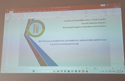BDU-da bioinformatikada riyazi modelləşdirməyə həsr olunmuş elmi seminar keçirilib