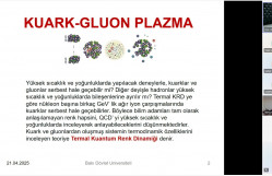 Fizika fakültəsinin məzunu nəzəri fizika üzrə seminar keçirib