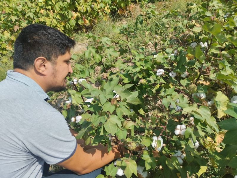 Əmrahov Nurlan Rəşid oğlunun biologiya üzrə fəlsəfə doktoru elmi dərəcəsi almaq üçün dissertasiya işinin ilkin müzakirəsi keçiriləcəkdir