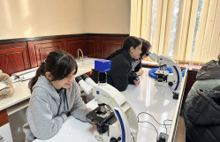 Students of the “Young Talents” Lyceum have become acquainted with the research environment of the Faculty of Biology