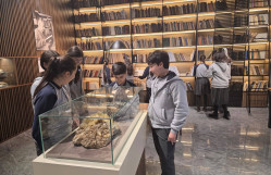 “Gənc istedadlar” liseyinin şagirdlərinin BDU-nun elmi-tədqiqat və sosial mühiti ilə tanışlığı uğurla yekunlaşıb