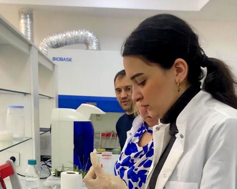 Biologiya fakültəsinin magistrantları Əkinçilik Elmi-Tədqiqat İnstitutunda elmi-praktiki təlimdə iştirak ediblər