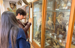 BDU tələbələri Həsən bəy Zərdabi adına Təbiət Tarixi Muzeyində elmi ekskursiyada