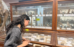 BDU tələbələri Həsən bəy Zərdabi adına Təbiət Tarixi Muzeyində elmi ekskursiyada