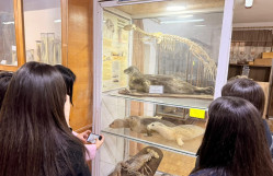BDU tələbələri Həsən bəy Zərdabi adına Təbiət Tarixi Muzeyində elmi ekskursiyada