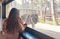 Beynəlxalq Vəhşi Təbiət Günü münasibətilə Bakı Zooloji Parkına ekskursiya