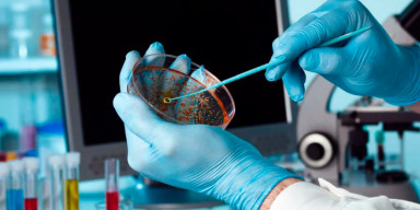 BDU-da klinik biokimya üzrə təlim proqramı