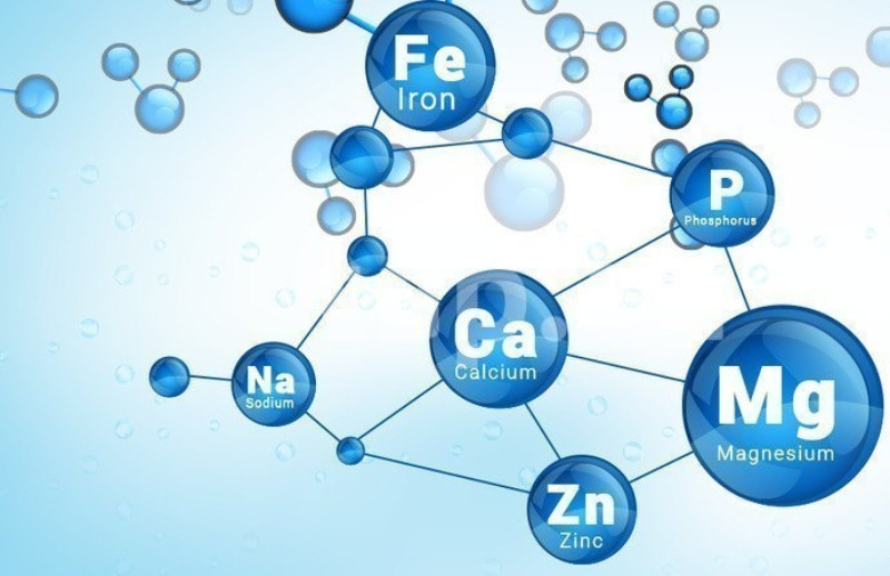 Respublika Olimpiadasına hazırlıq dərsləri keçirilir