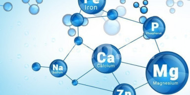 Respublika Olimpiadasına hazırlıq dərsləri keçirilir