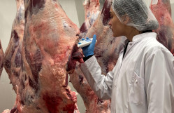 Biologiya fakültəsinin tələbələri “Araz Supermarket” MMC-də istehsalat təcrübəsi keçir