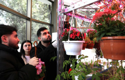 BDU-da "Şəhərsalma və Memarlıq İli" nə həsr olunmuş çiçəkəkmə aksiyası