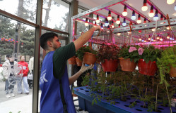 BDU-da "Şəhərsalma və Memarlıq İli" nə həsr olunmuş çiçəkəkmə aksiyası