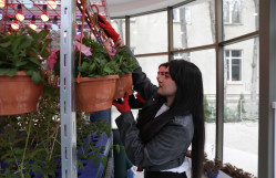 BDU-da "Şəhərsalma və Memarlıq İli" nə həsr olunmuş çiçəkəkmə aksiyası