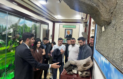 BDU-nun Geologiya fakültəsinin tələbələri üçün ekskursiya