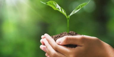 BDU-nun Biologiya fakültəsində duzluluq stresinin bitkilərə təsiri tədqiq olunur