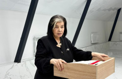 “Azərbaycanda gender qanunvericiliyinin inkişafı” adlı tədbir keçirilib