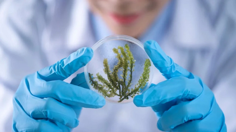 “Dünya Bioloqlar Günü”nə həsr olunmuş elmi seminar keçirilib