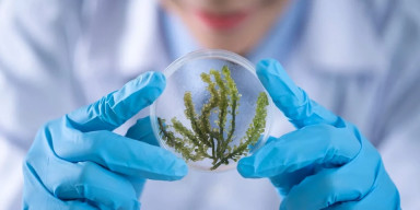 “Dünya Bioloqlar Günü”nə həsr olunmuş elmi seminar keçirilib