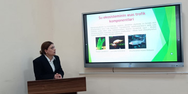 Elmi seminar keçirilib