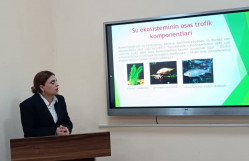 Elmi seminar keçirilib