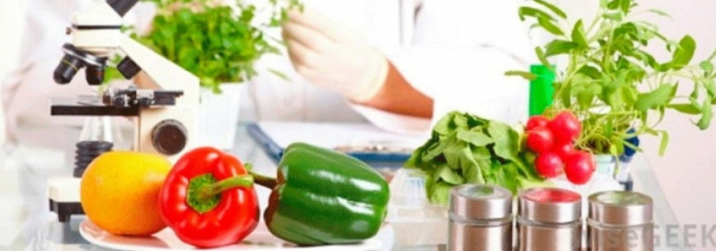 BDU-nun Psixoloji yardım sektoru “Qida pozuntuları” adlı maarifləndirici təlim keçirib